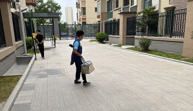 绿化养护中如何确保操作规范？